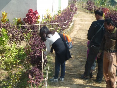 P1040135